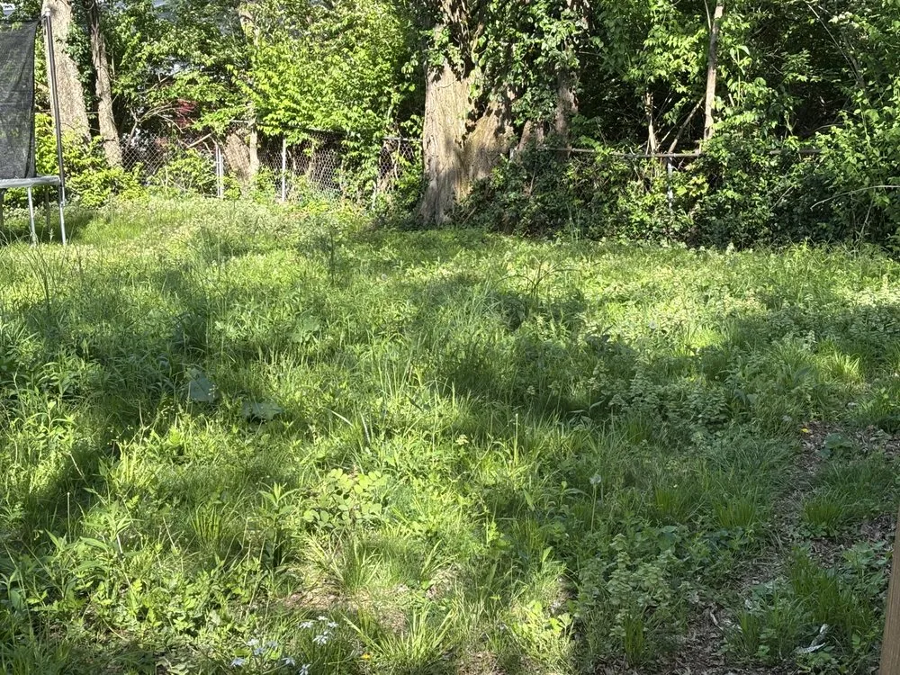 Custom landscape design for beautiful yards in Lexington, KY by Lovely Lawn Care