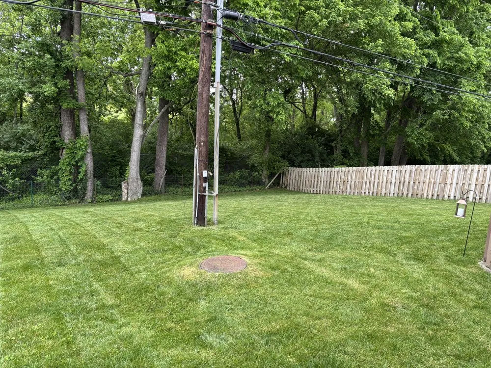 Local lawn care service near you across Lexington, KY - Lovely Lawn Care