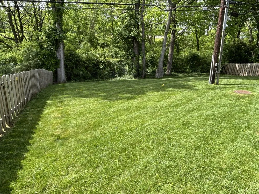 Trusted lawn mowing service for beautiful yards in Lexington, KY by Lovely Lawn Care