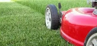Custom landscape design near you across Hubert, NC - Lovely Lawns