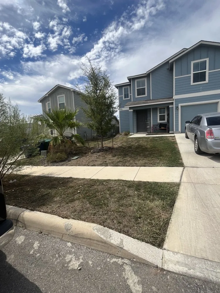 Professional yard cleanup service for residential properties across San Antonio, TX - Lovely Lawns