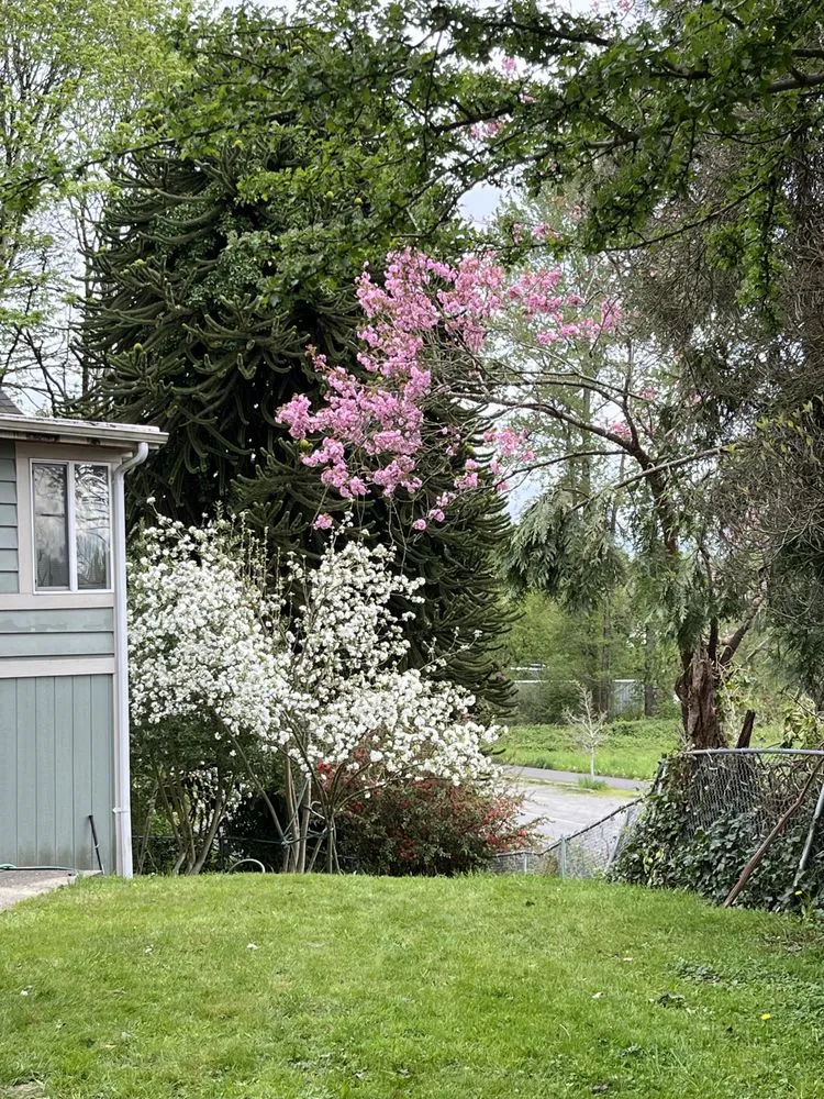 Custom residential landscaping in Snohomish, WA - Lovely Lawnscaping