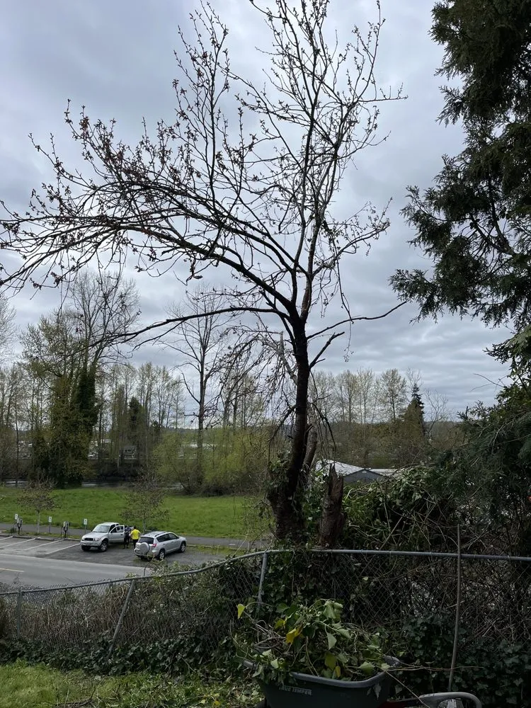 Expert outdoor landscaping for outdoor upgrades across Snohomish, WA - Lovely Lawnscaping