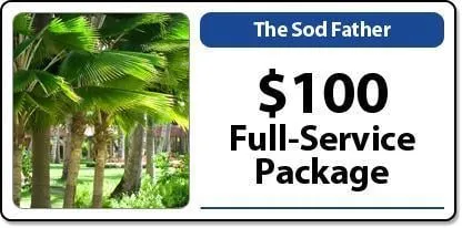 Expert yard maintenance experts serving Tampa, FL - Lovely’s Sodfather