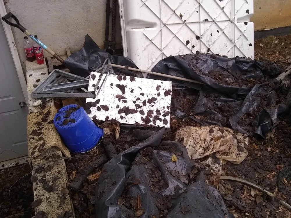 Custom yard maintenance in Lexington, KY - Lovelyxpress