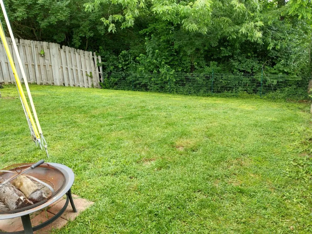 Expert lawn care service for outdoor upgrades across Lexington, KY - Lovelyxpress