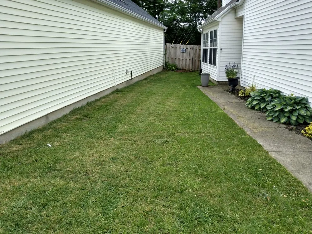 Expert lawn mowing service experts serving Lexington, KY - Lovelyxpress