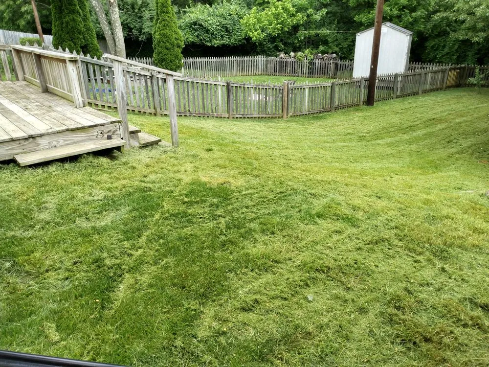 Reliable garden landscaping in Lexington, KY - Lovelyxpress