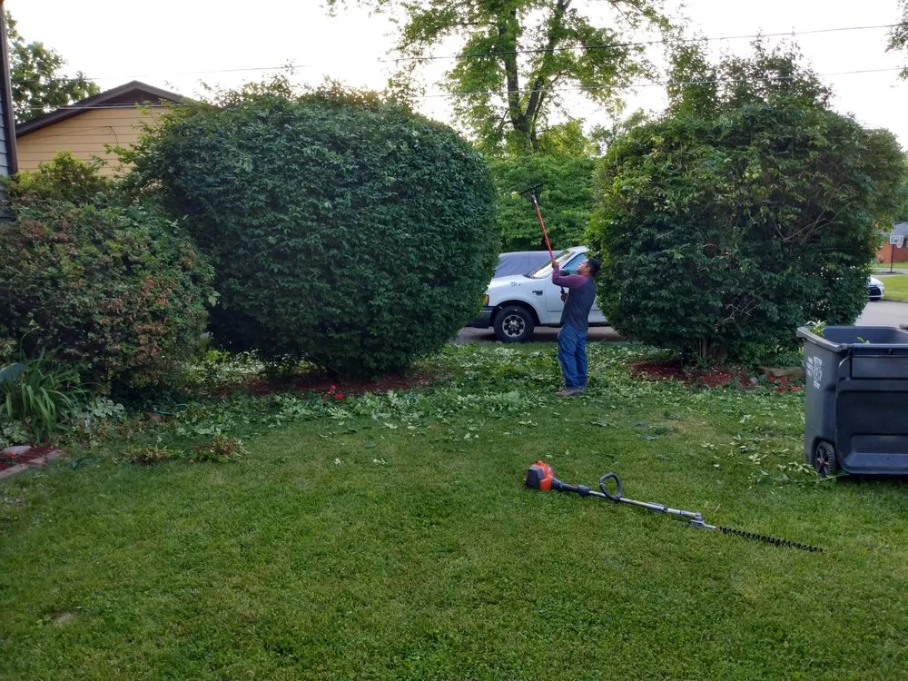 Custom residential landscaping in Lexington, KY by Lovelyxpress