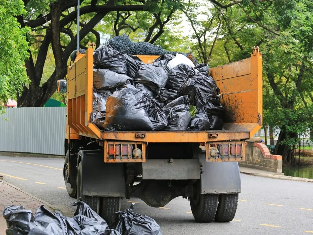 Reliable landscaping services in Lexington, KY - Lovelyxpress