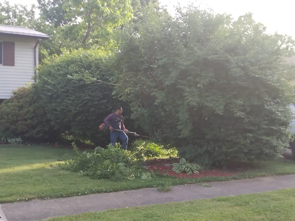 Affordable garden landscaping in Lexington, KY - Lovelyxpress