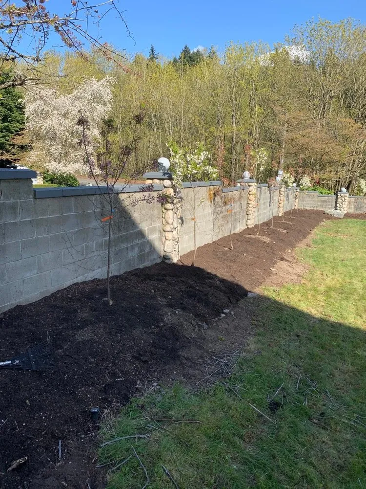 Expert lawn care service in Bellevue, WA by Lovera's Landscaping