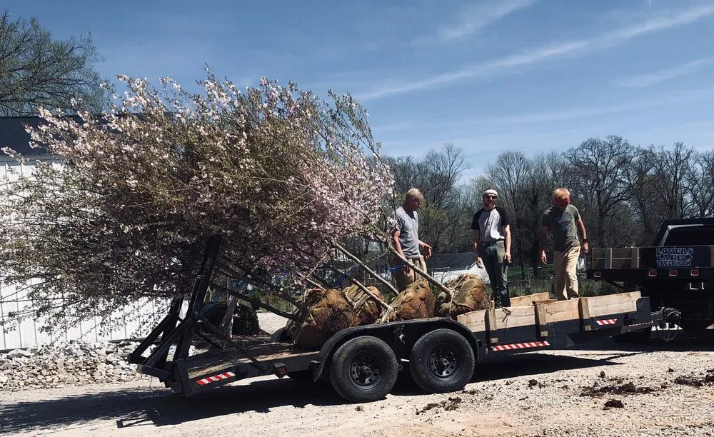 Trusted yard maintenance experts serving Bowling Green, KY - Lovers Lane Tree Farm