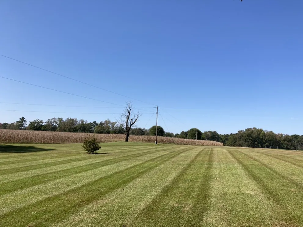 Expert landscape installation in Sanford, NC - Love’s Construction and Landscaping