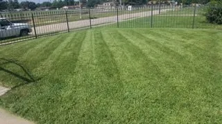 Custom yard maintenance experts serving Shreveport, LA - Love's Custom Lawn Care