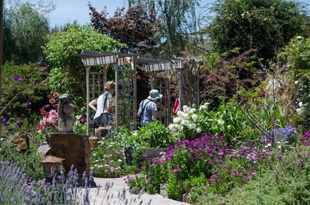 Expert lawn care service in Santa Cruz, CA - Love's Gardens