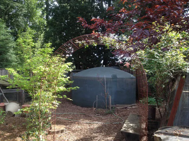 Affordable residential landscaping near you in Santa Cruz, CA by Love's Gardens