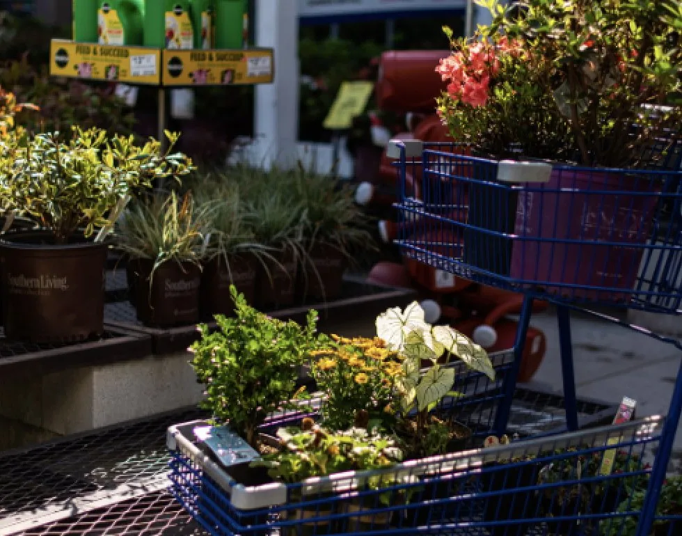 Local residential landscaping for beautiful yards across Greenland, NH - Love's Home Improvement