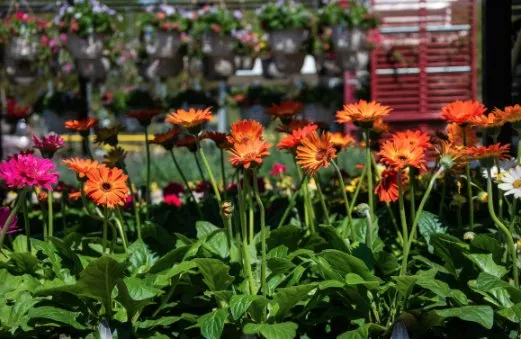 Local landscaping services for outdoor upgrades across Greenland, NH - Love's Home Improvement