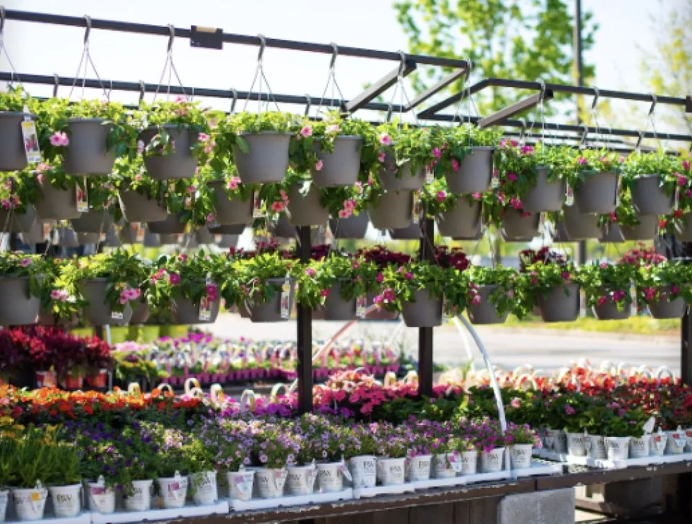 Top-rated yard cleanup service in Greenland, NH - Love's Home Improvement