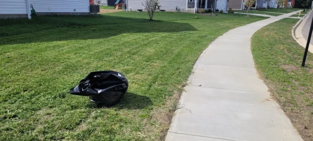 Affordable yard cleanup service in Mechanicsburg, OH - Love's Home Services