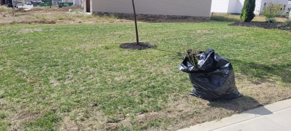 Top-rated lawn mowing service near you in Mechanicsburg, OH by Love's Home Services