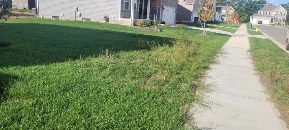 Affordable lawn mowing service in Mechanicsburg, OH by Love's Home Services