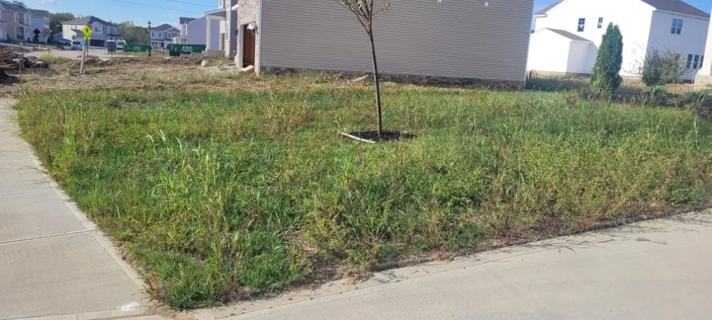 Reliable residential landscaping for year-round maintenance in Mechanicsburg, OH by Love's Home Services