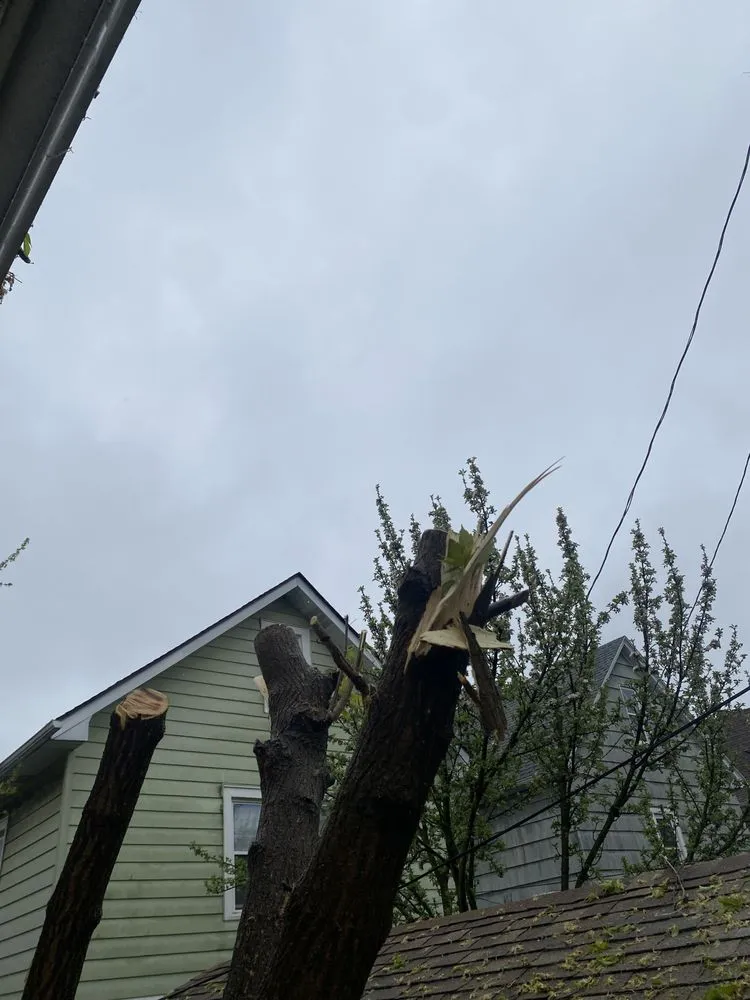 Reliable lawn mowing service in West Seneca, NY - Loves Immaqulate Services