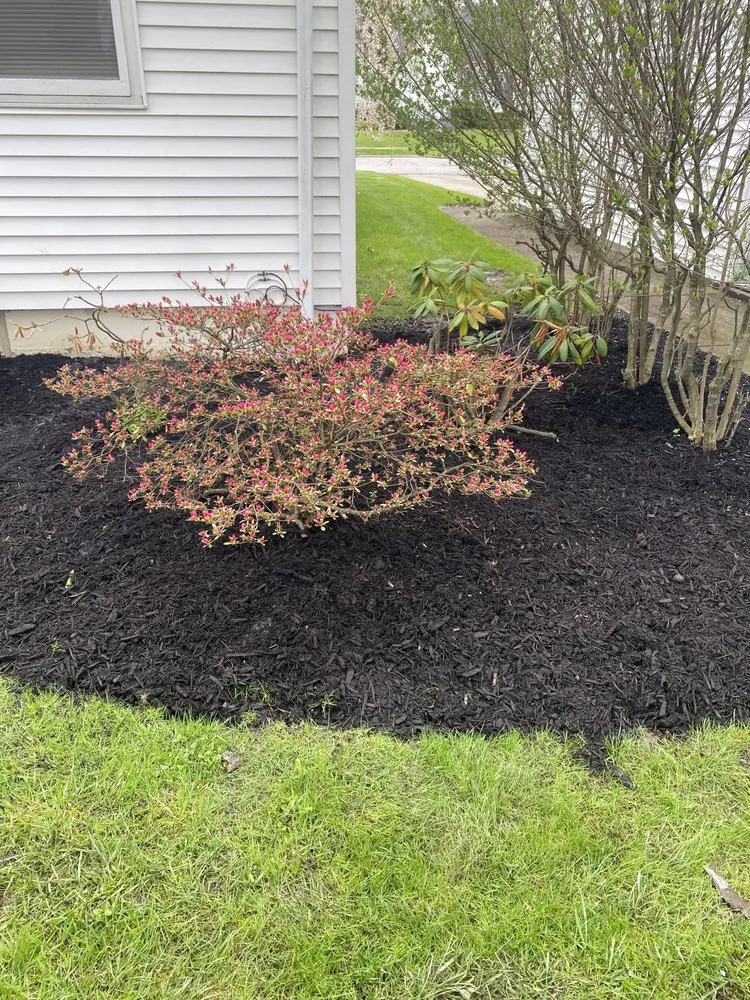 Professional landscaping services for year-round maintenance across West Seneca, NY - Loves Immaqulate Services