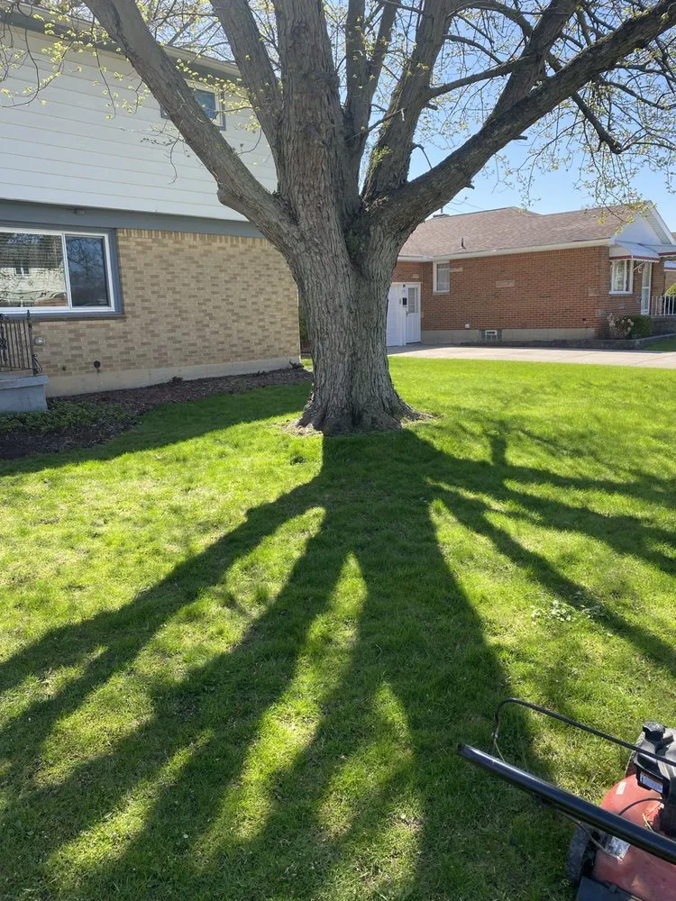 Expert lawn care service in West Seneca, NY by Loves Immaqulate Services