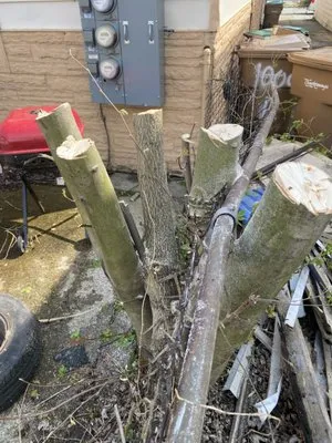 Loves Immaqulate Services