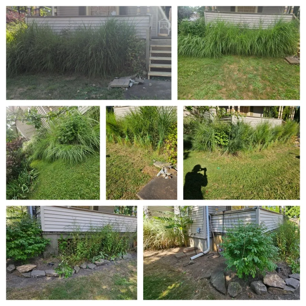 Local lawn care service experts serving Rootstown, OH - Loves Landscaping