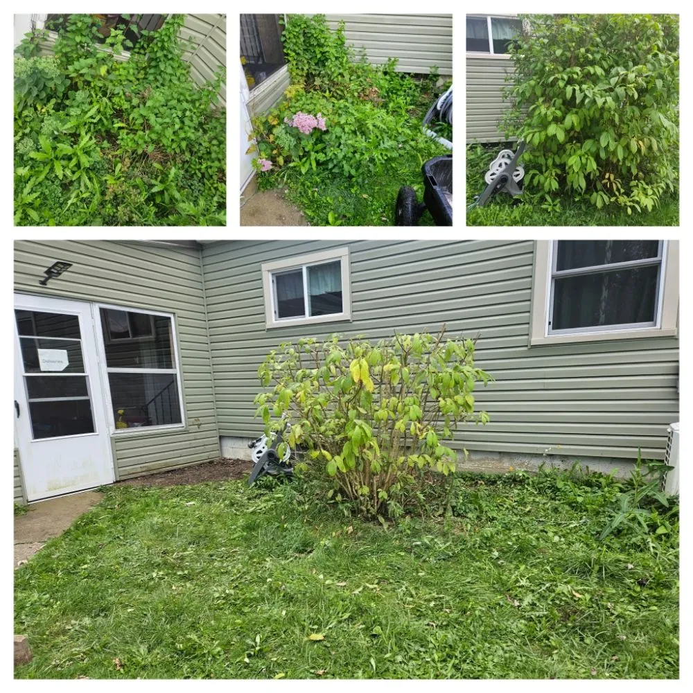 Professional landscape installation for beautiful yards across Rootstown, OH - Loves Landscaping