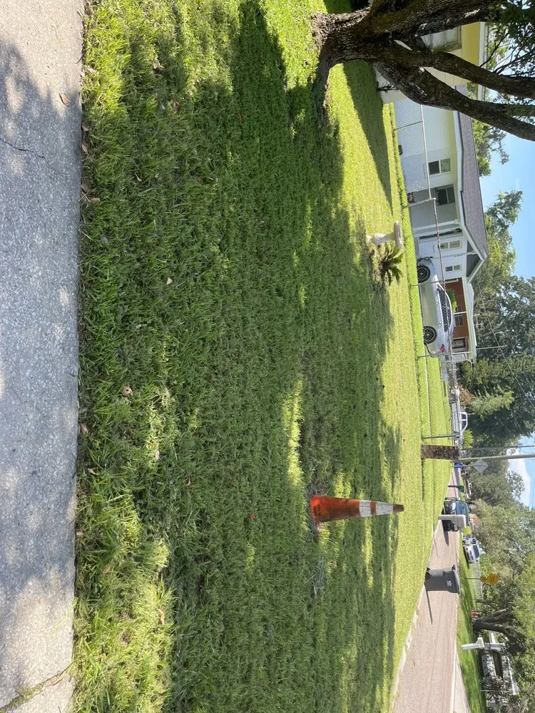 Affordable lawn mowing service near you across Tampa, FL - Loves Lawn Care