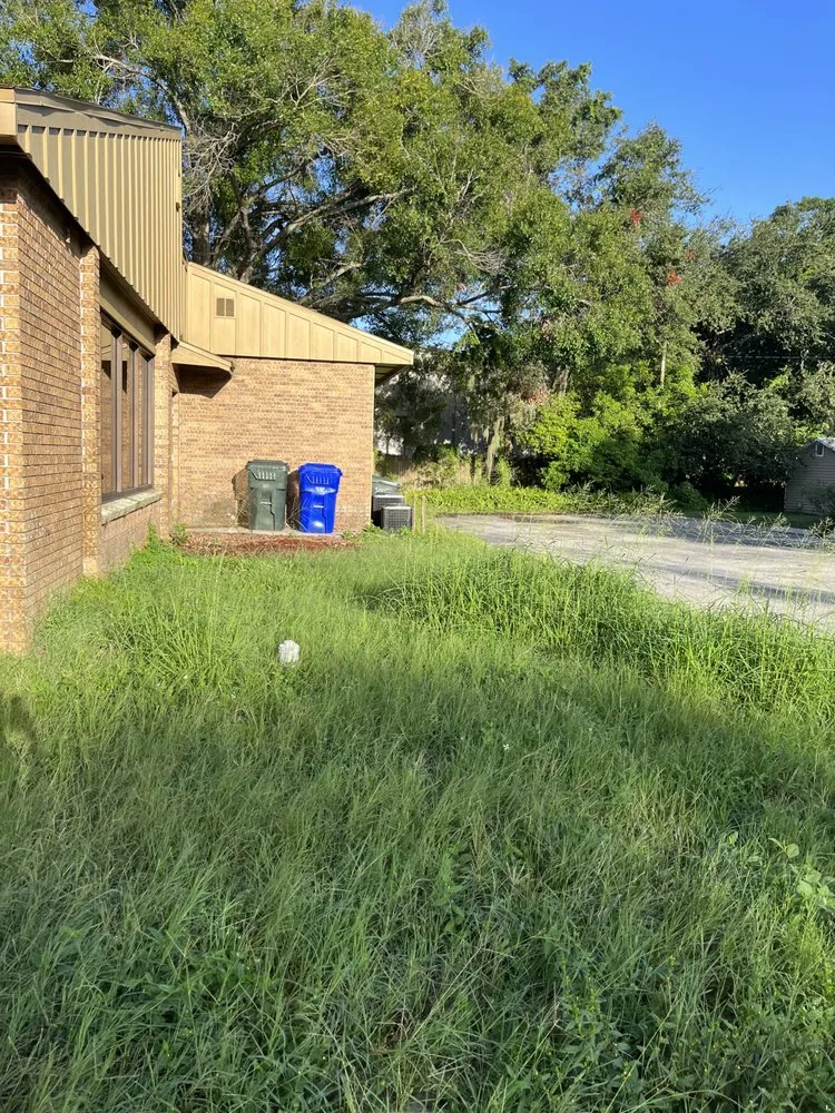 Affordable residential landscaping for outdoor upgrades in Tampa, FL by Loves Lawn Care