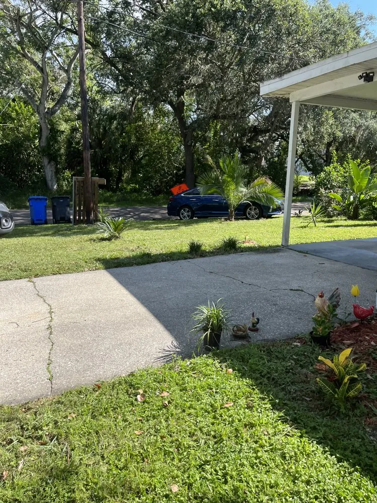 Reliable lawn care service in Tampa, FL by Loves Lawn Care