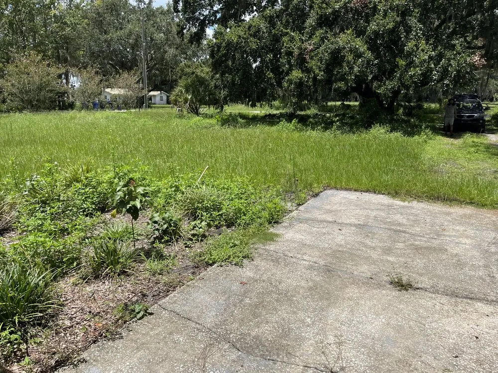 Expert residential landscaping in Tampa, FL by Loves Lawn Care