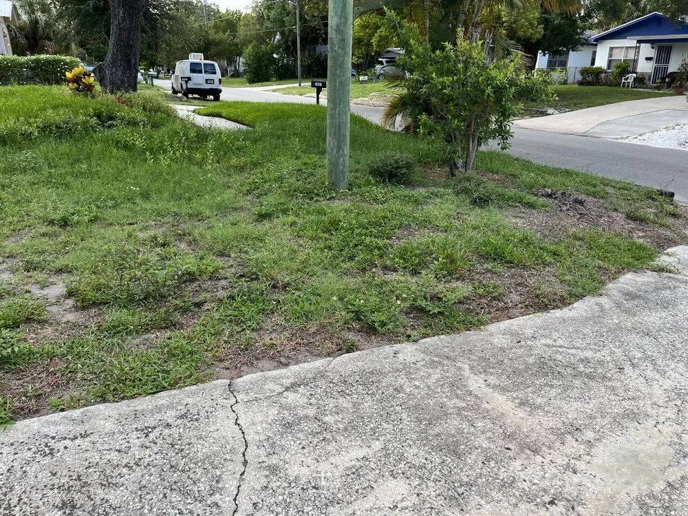 Trusted lawn mowing service for beautiful yards across Tampa, FL - Loves Lawn Care