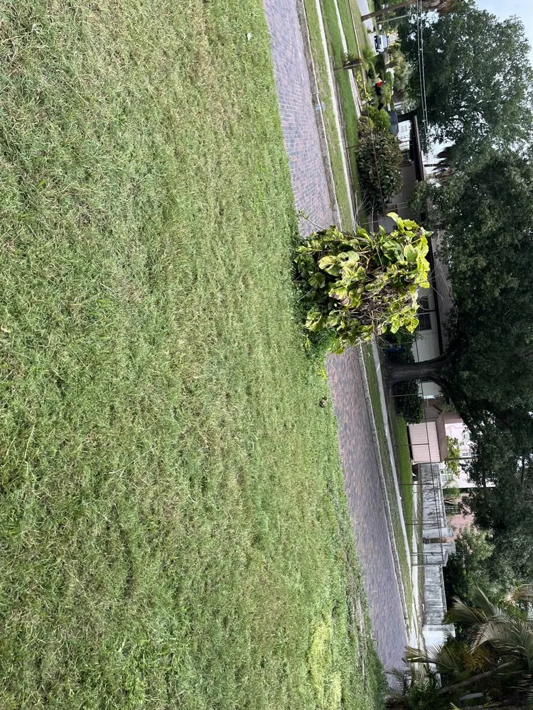 Local yard maintenance with custom design across Tampa, FL - Loves Lawn Care