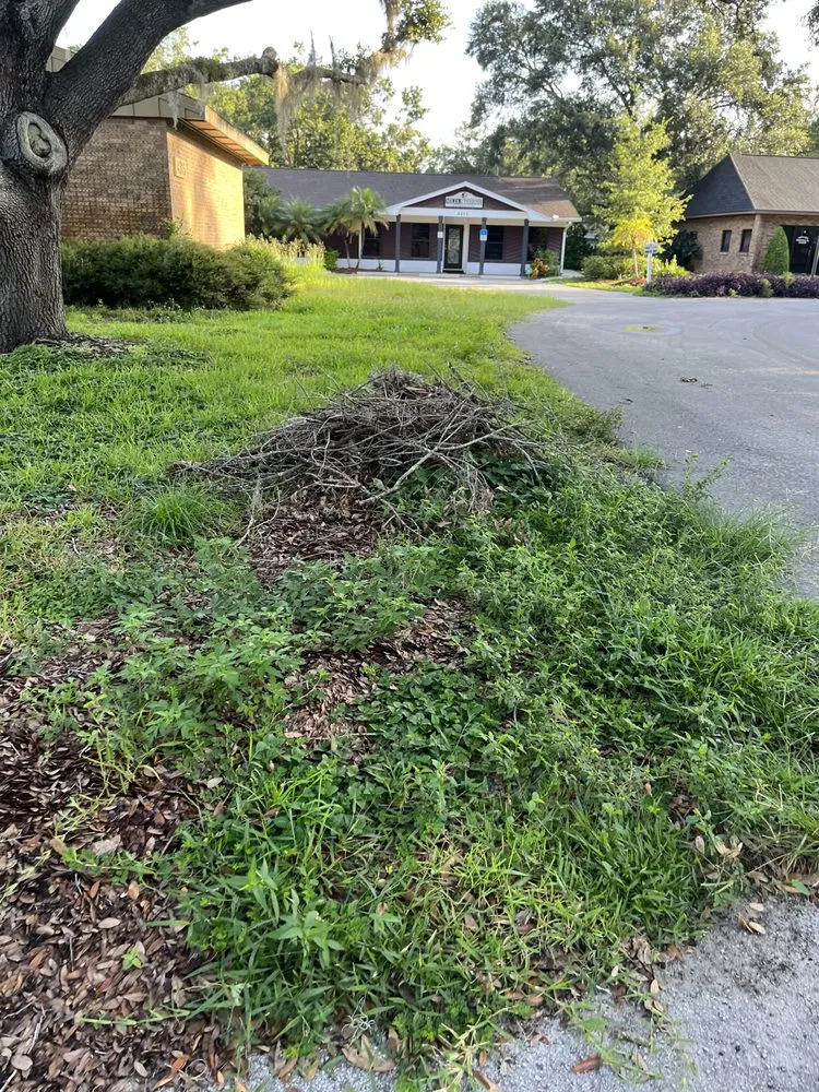 Trusted lawn care service experts serving Tampa, FL - Loves Lawn Care