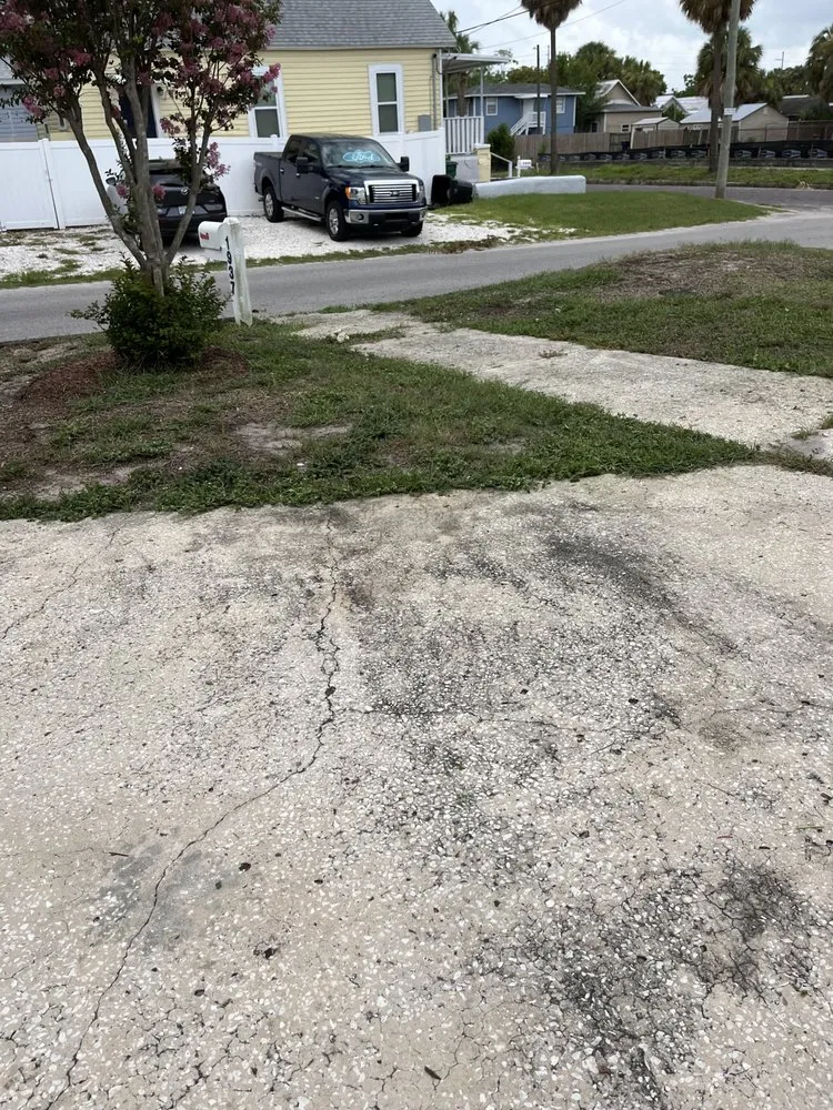 Professional landscape design in Tampa, FL by Loves Lawn Care