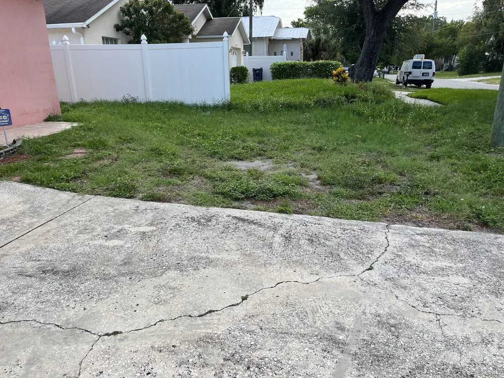 Custom landscaping services in Tampa, FL by Loves Lawn Care