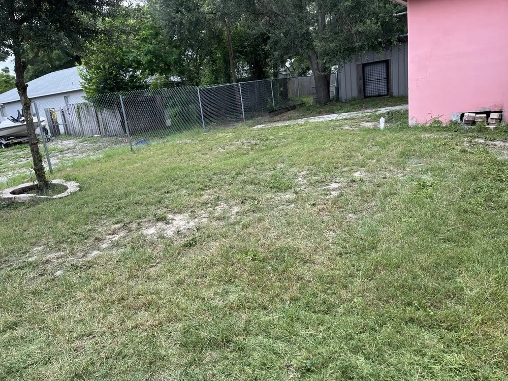 Expert yard maintenance for year-round maintenance in Tampa, FL by Loves Lawn Care