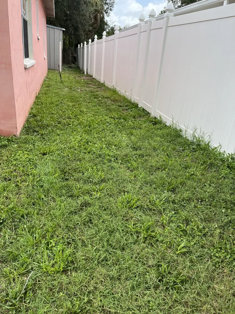 Top-rated outdoor landscaping in Tampa, FL by Loves Lawn Care