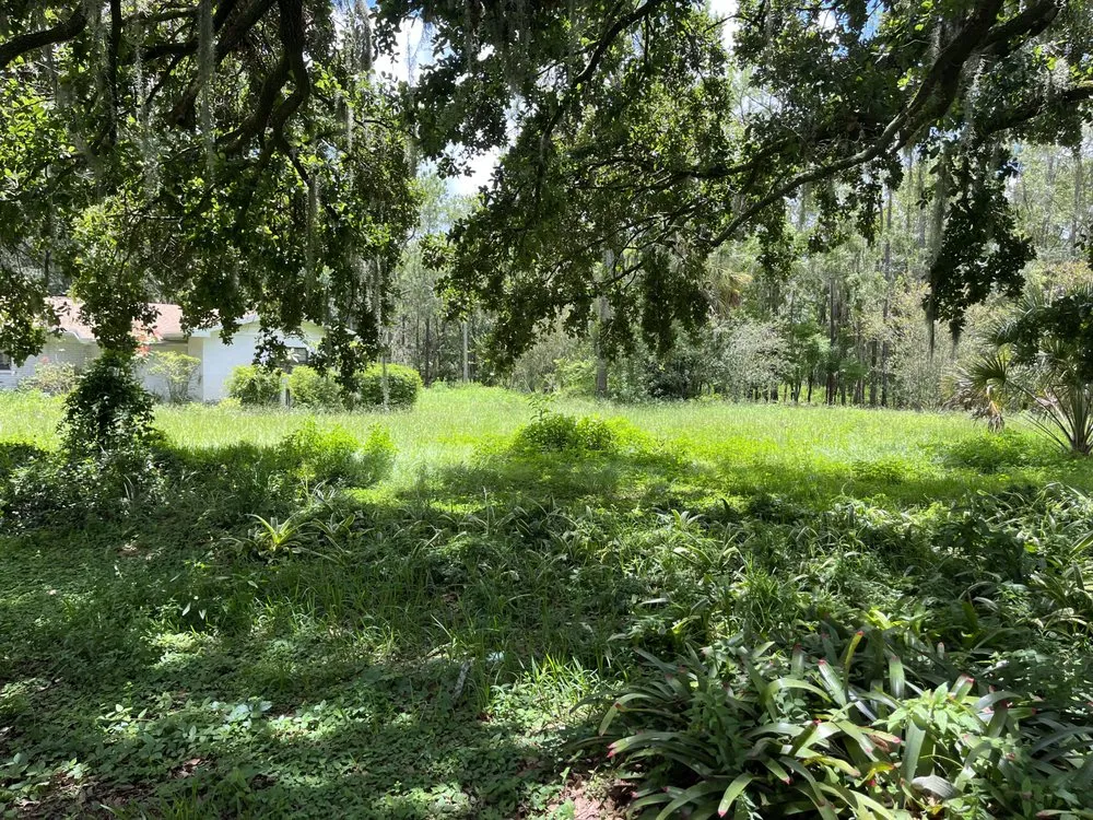 Local landscape design in Tampa, FL - Loves Lawn Care