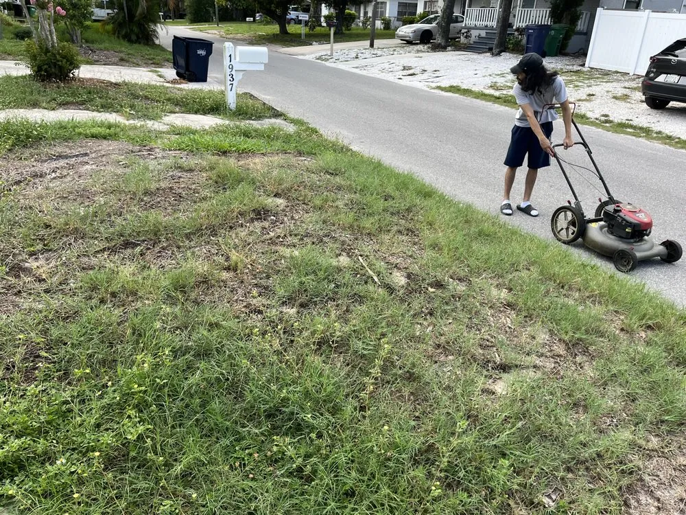 Professional yard maintenance in Tampa, FL - Loves Lawn Care