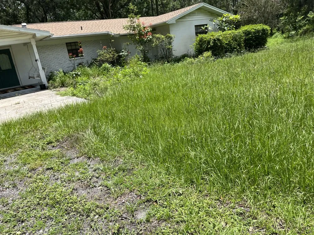 Professional landscape installation in Tampa, FL - Loves Lawn Care