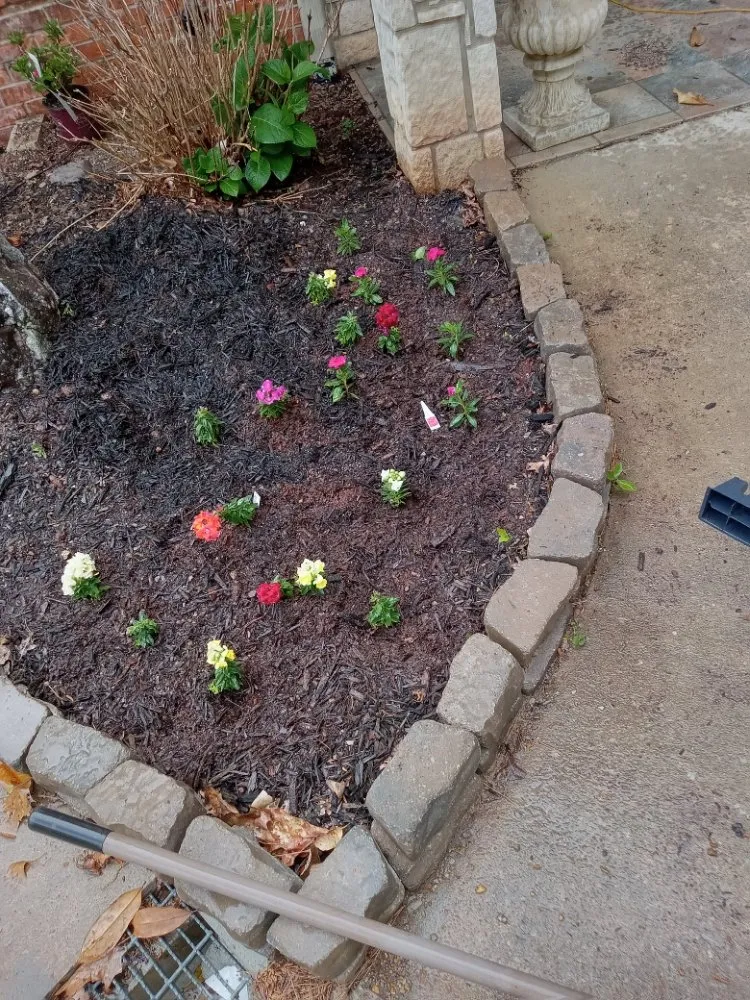 Affordable yard cleanup service for outdoor upgrades across Hot Springs, AR - Love's Lawncare Landscape And Pressure Washing