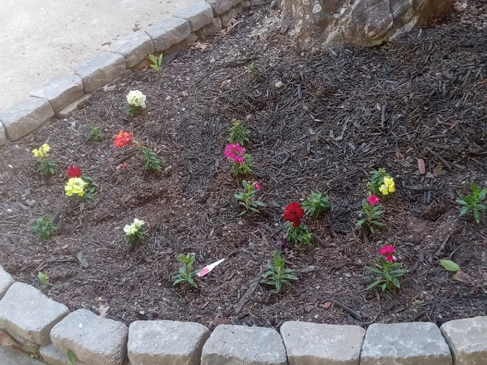 Trusted landscaping services in Hot Springs, AR by Love's Lawncare Landscape And Pressure Washing